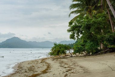 The photo captures a breathtaking view of a serene beach with crystal-clear waters and gentle waves lapping at the shore. The endless stretch of golden sand is dotted with sun umbrellas, beach chairs, and palm trees. The deep blue sea stretches out t