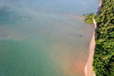 Fotoğraf, berrak suları ve kıyıya vuran hafif dalgalarla sakin bir sahilin nefes kesici görüntüsünü yakalıyor. Sonsuz altın kum taneleri güneş şemsiyeleri, plaj sandalyeleri ve palmiye ağaçları ile kaplıdır.. 