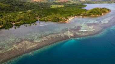 Fotoğraf, berrak suları ve kıyıya vuran hafif dalgalarla sakin bir sahilin nefes kesici görüntüsünü yakalıyor. Sonsuz altın kum taneleri güneş şemsiyeleri, plaj sandalyeleri ve palmiye ağaçları ile kaplıdır.. 