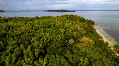 Fotoğraf, berrak suları ve kıyıya vuran hafif dalgalarla sakin bir sahilin nefes kesici görüntüsünü yakalıyor. Sonsuz altın kum taneleri güneş şemsiyeleri, plaj sandalyeleri ve palmiye ağaçları ile kaplıdır.. 