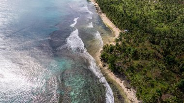 Fotoğraf, berrak suları ve kıyıya vuran hafif dalgalarla sakin bir sahilin nefes kesici görüntüsünü yakalıyor. Sonsuz altın kum taneleri güneş şemsiyeleri, plaj sandalyeleri ve palmiye ağaçları ile kaplıdır.. 