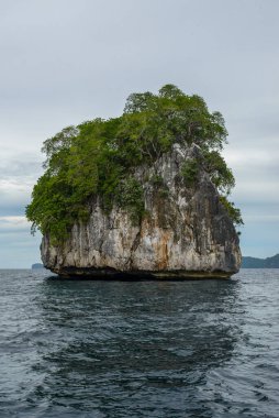 Bu fotoğraf Filipinler 'in şaşırtıcı derecede engebeli kıyı şeridini gösteriyor. Bir dizi kayalık çıkıntılar, dalgalar tarafından pürüzsüz aşınmış, ufukta uzanan, turkuaz deniz çevrelerinde dönerken.