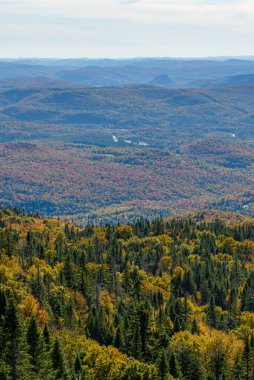 Bu Kanada 'daki ereksiyonların güzel renklerini gösteren bir fotoğraf koleksiyonu.