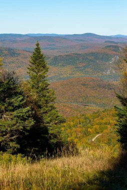 Bu Kanada 'daki ereksiyonların güzel renklerini gösteren bir fotoğraf koleksiyonu.