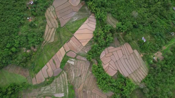 Drónfelvételek Fülöp Szigetekről Gyönyörű Zöld Sárga Hegyeket Látunk Vagy Hegyeket — Stock videók