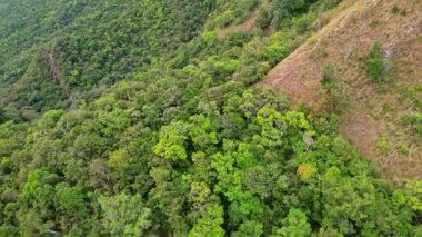Filipinler Dağları 'nın insansız hava aracı görüntüleri. Sonsuz denizle çevrili güzel yeşil ve sarı dağlar ya da tepeler görebiliriz..