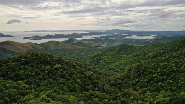 Drone Beelden Van Filippijnen Mountains Zien Prachtige Groene Gele Bergen — Stockvideo