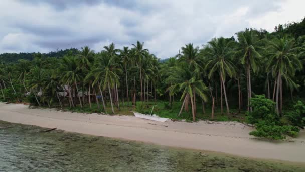 菲律宾海滩的无人机镜头捕捉到了这个热带天堂迷人的美景 从清澈碧绿的海水到清澈的白沙滩海岸 — 图库视频影像