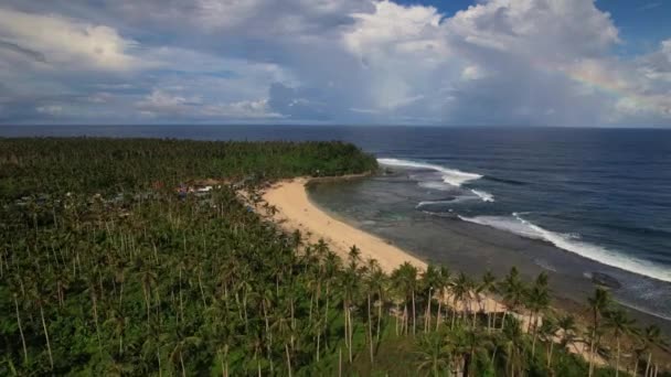 フィリピンのビーチのドローン映像は この熱帯の楽園の魅惑的な美しさを捉えています 透き通ったターコイズブルーの海から自然のままの白い砂浜へ — ストック動画