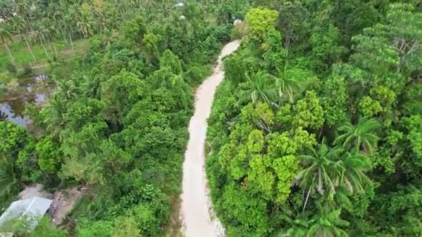 Imagens Drones Estrada Branca Suja Arredondadas Pela Selva Subindo Para — Vídeo de Stock