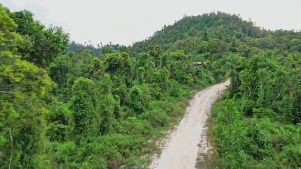 Drone Beelden Gaan Omhoog Doen Een All 360 Van Jungle — Stockvideo