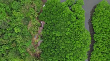 Filipinler 'de yarı batmış bir uçağın insansız hava aracı görüntüleri. Ormanın, düzlemin ve gölün 90 derecelik çizgisel videosu. Renkler genelde yeşil ve gridir..
