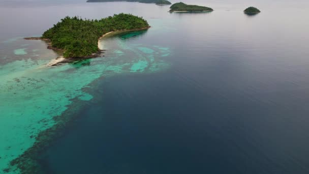 Zdjęcia Dronów Lotniczych Głównie Recife Filipinach Piękna Recytacja Pobliżu Wyspy — Wideo stockowe