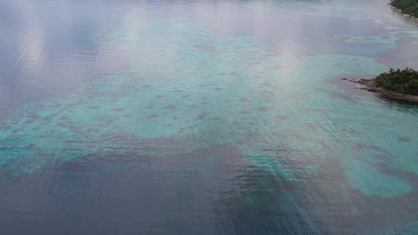 Съёмки Беспилотника Воздуха Основном Ресифи Филиппинах Прекрасная Долли Рецептами Морская — стоковое видео