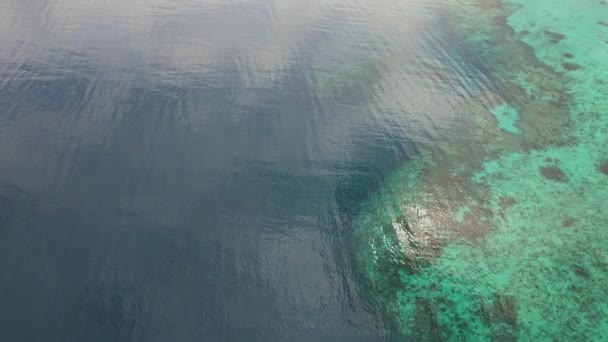 Luchtdrone Beelden Van Voornamelijk Recife Filippijnen Prachtige Zee Met Recife — Stockvideo