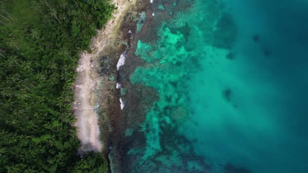 Imagens Drones Aéreos Recife Principalmente Nas Filipinas Bela Vista Uma — Vídeo de Stock