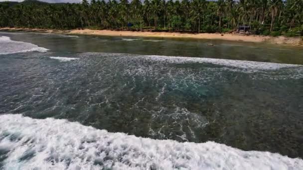 Nsansız Hava Aracı Görüntüleri Filipinler Ana Konusu Plaj Manzarası Dalgaları — Stok video