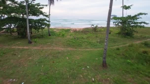 ドローン映像 フィリピンでの主な主題としてのビーチの空中ビュー 美しいビーチや大きな波のショットを明らかにする 無人機はジャングルから来てる — ストック動画