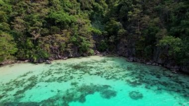 İnsansız hava aracı görüntüleri. Filipinler 'in ana deneği olarak göl ve körfezin havadan görünüşü. Güzel renklerle göz kamaştırıcı manzara.