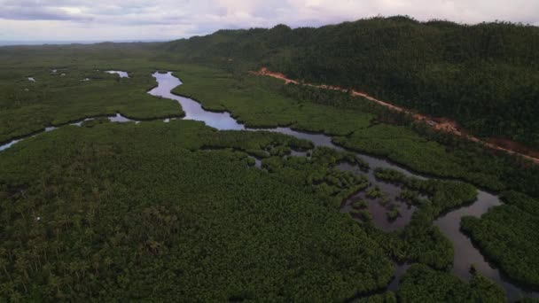 Imagens Drones Selva Natureza Aparecem Nas Filipinas Floresta Verde Soemtimes — Vídeo de Stock
