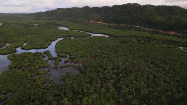 Nagranie Dżungli Przyroda Filipinach Zielony Las Soemtimes Niebieska Woda Pojawia — Wideo stockowe