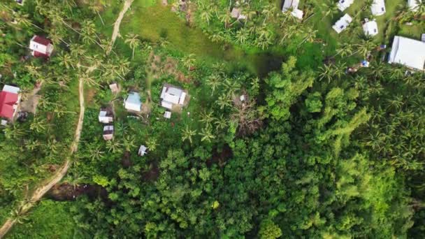 Filipinler Deki Orman Doğa Nın Insansız Hava Aracı Görüntüleri Yeşil — Stok video