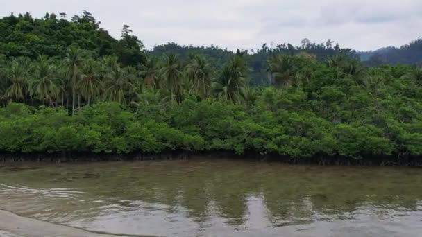 Filmati Dei Droni Della Giungla Della Natura Nelle Filippine Verde — Video Stock