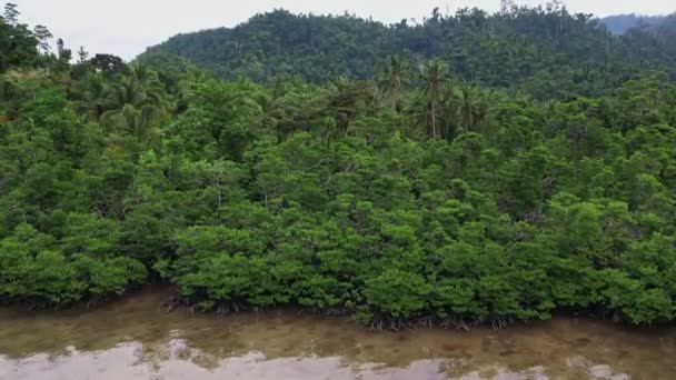 菲律宾丛林与自然特征的无人机镜头 翠绿的森林和深蓝色的海水出现了 — 图库视频影像