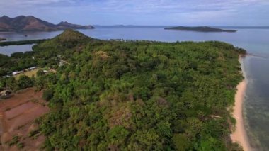 Filipinler, Coron 'da deniz kenarındaki ormanın insansız hava aracı görüntüleri. Etrafımızda geniş bir orman ve deniz manzarası görüyoruz..