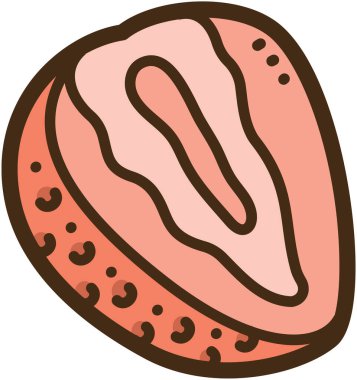 Yarısı kesilmiş çilek vektör karalama çizimi ve grafik