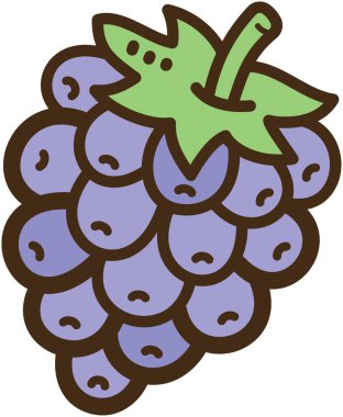 Blackberry vektör karalama çizimi ve grafik