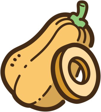 Butternut squash vektör çizim ve grafik