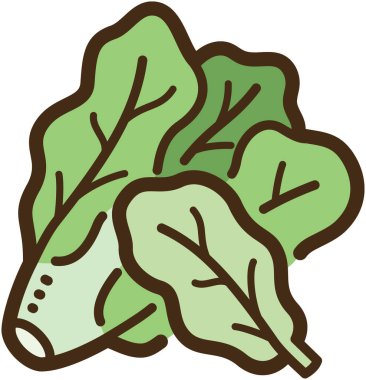 Marul vektörü çizimi ve grafiği