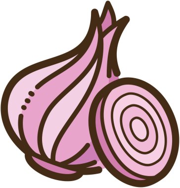 Kırmızı soğan vektörü çizimi ve grafiği
