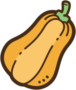 Butternut squash vektör çizim ve grafik