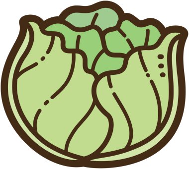 Lahana vektörü çizimi ve grafiği