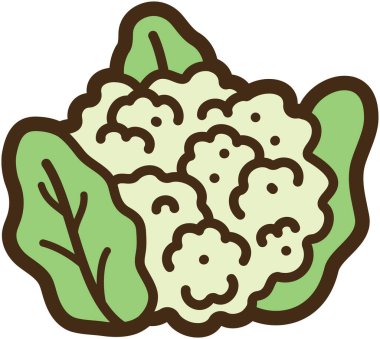 Karnabahar vektör çizimi ve grafiği