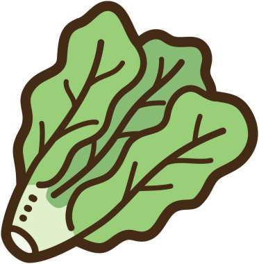 Marul vektörü çizimi ve grafiği