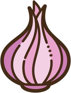 Shallot vektör karalama çizimi ve grafik