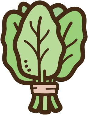 Ispanak vektörü çizimi ve grafiği