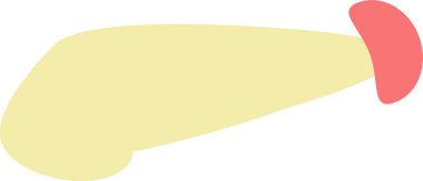 Basit pankreas ve dalak sindirim organlarının kesme sanatı