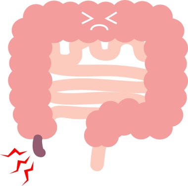 Apandisit (apandisit) iç organlar sindirim organları.