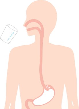 Baryum incelemesi, midenin incelenmesi.