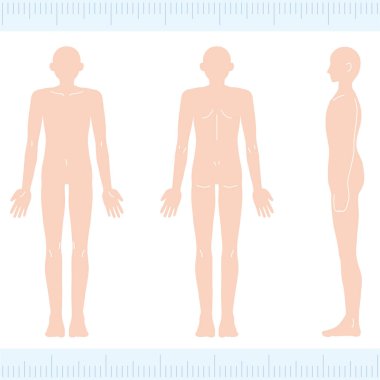 Kadın ve erkeğin vektör çizimi