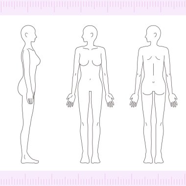 Kadın iç çamaşırı seti, vektör illüstrasyonu