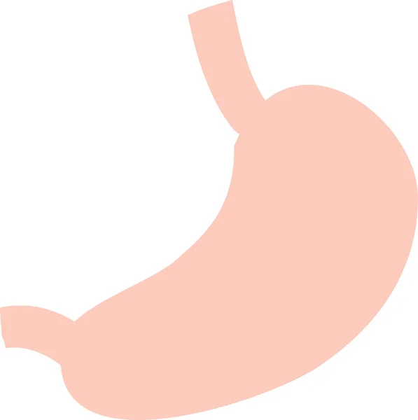 Clip Art Estómago Simple Viscera Órganos Digestivos — Vector de stock