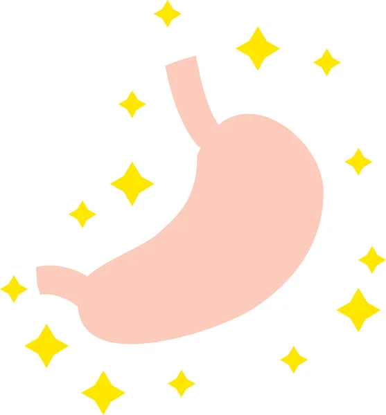 Ilustrasi Perut Sehat Dan Tidak Sehat Organ Pencernaan Internal Organ - Stok Vektor