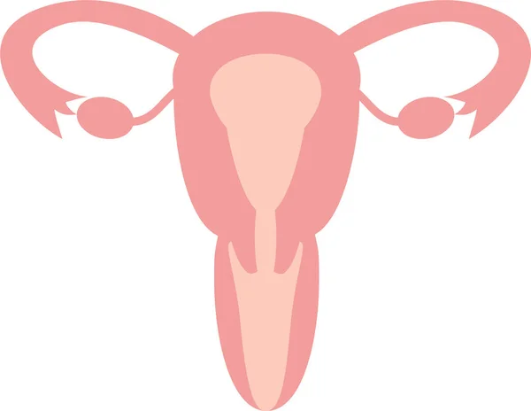 Klipart Jednoduchých Dělohy Vnitřnosti Reprodukční Orgány — Stockový vektor