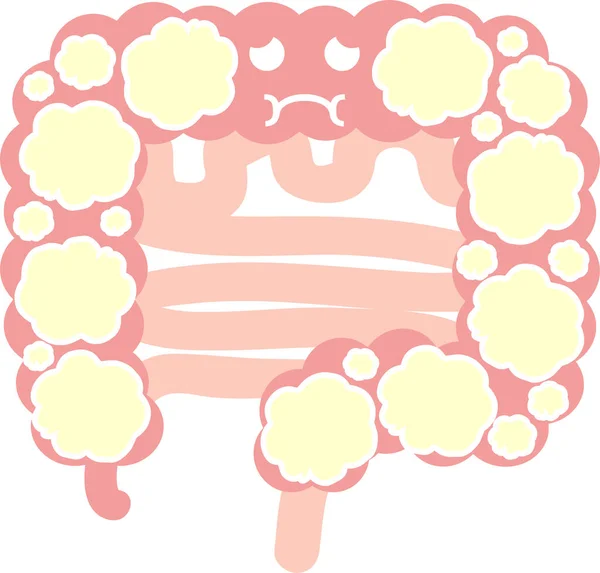 腸のクリップアート お腹の膨らみ 内部器官消化器系 — ストックベクタ