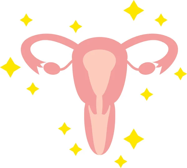 Illustration Simple Healthy Uterus Viscera Reproductive Organs — Stock Vector